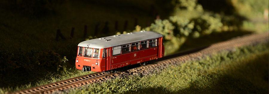 Foto: Hans-Jörg Sander