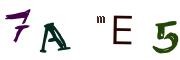 Bild-CAPTCHA